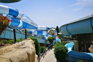 Paphos: 7-Day Aphrodite Waterpark Pass