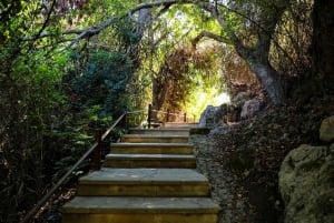 Paphos: Tour di un giorno di Akamas, Bagni di Afrodite e Laguna Blu