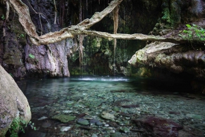 Pafos: Excursión de un día a Akamas, Baños de Afrodita y Laguna Azul