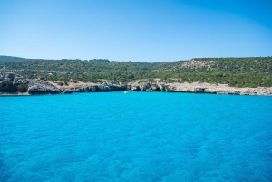 Pafos: Excursión de un día a Akamas, Baños de Afrodita y Laguna Azul