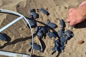 Paphos :Akamas Jeep Safari with cruise to the Blue Lagoon