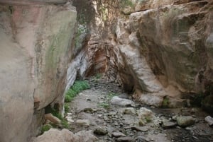 Paphos :Akamas Jeep Safari with cruise to the Blue Lagoon