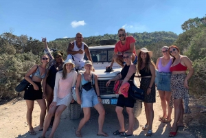 Paphos: Akamas Jeep Tour en Blue Lagoon Cruise per boot