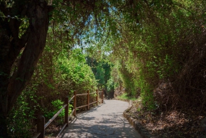 Pafos: Excursión de un día a Akamas/Laguna Azul y Baños de Afrodita