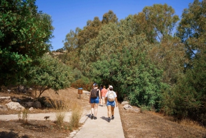 Paphos : Excursion d'une journée à Akamas/lagon bleu et bains d'Aphrodite