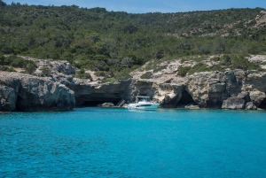 Paphos: Viagem de 1 dia para Akamas/Lagoa Azul e Banhos de Afrodite