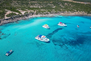 Paphos : Excursion d'une journée à Akamas/lagon bleu et bains d'Aphrodite