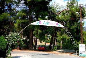 Paphos: Autentisk gourmettur med vin- og matsmaking