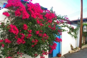 Paphos: Autentisk gourmettur med vin- og matsmaking