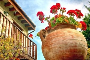 Paphos: Authentic Gourmet Tour with Wine and Food Tasting