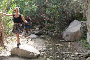 Paphos : Excursion en jeep dans les gorges d'Avakas et la baie des tortues avec une ferme d'ânes