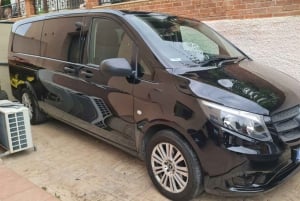 Paphos: Blue Lagoon Boat Trip with Transfers