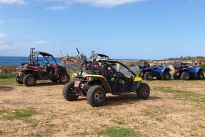 Paphos: Buggy Safari to Akamas Peninsula with Lunch