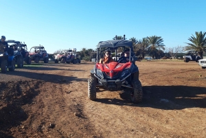 パフォス：アカマス半島へのバギーサファリとランチ