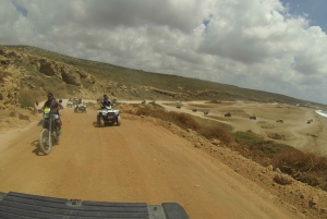 パフォス：アカマス半島へのバギーサファリとランチ