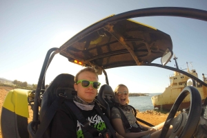 パフォス：アカマス半島へのバギーサファリとランチ