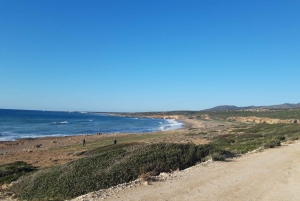 パフォス：アカマス半島へのバギーサファリとランチ