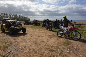 パフォス：アカマス半島へのバギーサファリとランチ