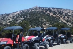 Pafos: Excursión en Buggy Akamas incl y Cataratas de Adonis