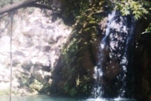 Pafos: Excursión en Buggy Akamas incl y Cataratas de Adonis