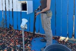 Pafos: Experiencia de tiro al plato