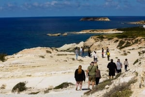 From Paphos: Coral Bay and Adonis Baths Guided Buggy Tour