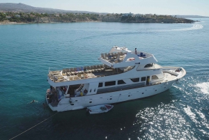 Paphos: Halve dag BBQ cruise met open bar & snorkelen