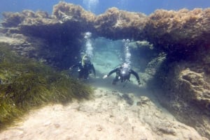 Paphos : Découverte de la plongée sous-marine avec prise en charge