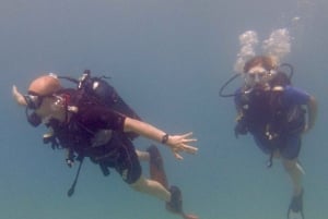 Paphos : Découverte de la plongée sous-marine avec prise en charge