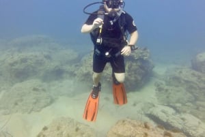 Paphos : Découverte de la plongée sous-marine avec prise en charge