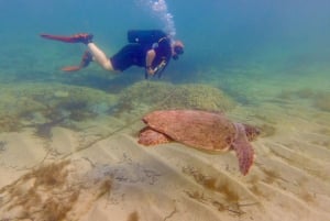 Paphos : Découverte de la plongée sous-marine avec prise en charge