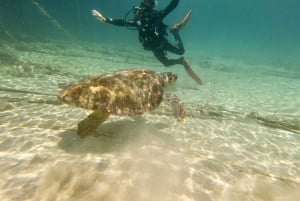 Paphos : Découverte de la plongée sous-marine avec prise en charge