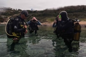 Paphos : Découverte de la plongée sous-marine avec prise en charge