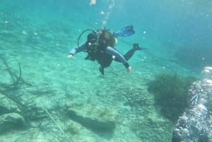 Paphos : Découverte de la plongée sous-marine avec prise en charge