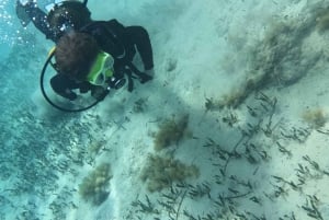 Paphos : Découverte de la plongée sous-marine avec prise en charge