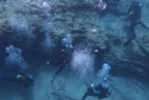 Paphos : Découverte de la plongée sous-marine avec prise en charge