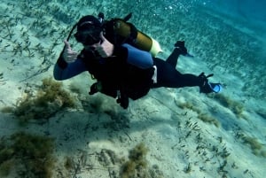 Paphos : Découverte de la plongée sous-marine avec prise en charge