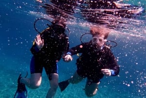 Paphos : Découverte de la plongée sous-marine avec prise en charge