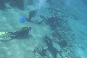 Paphos : Découverte de la plongée sous-marine avec prise en charge