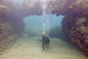 Paphos : Découverte de la plongée sous-marine avec prise en charge
