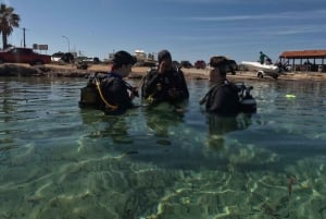 Paphos : Découverte de la plongée sous-marine avec prise en charge