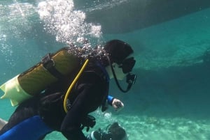 Paphos : Découverte de la plongée sous-marine avec prise en charge