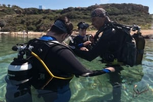 Paphos : Découverte de la plongée sous-marine avec prise en charge