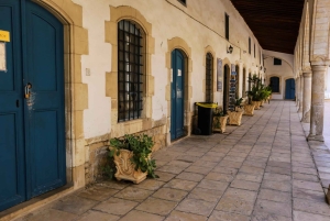 Paphos: Geteiltes Nikosia (Nordzypern begehbar) und Larnaca