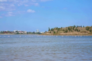 Paphos: Geteiltes Nikosia (Nordzypern begehbar) und Larnaca