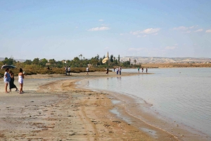 Paphos: Geteiltes Nikosia (Nordzypern begehbar) und Larnaca