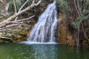 PAPHOS: Aventura exclusiva com tartarugas em um jipe (particular)