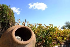 Mezza giornata a Paphos con degustazione di vino gratuita - Max 7 persone - Aria condizionata
