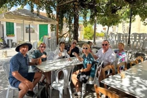 Mezza giornata a Paphos con degustazione di vino gratuita - Max 7 persone - Aria condizionata