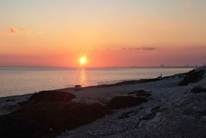 Mezza giornata a Paphos con degustazione di vino gratuita - Max 7 persone - Aria condizionata